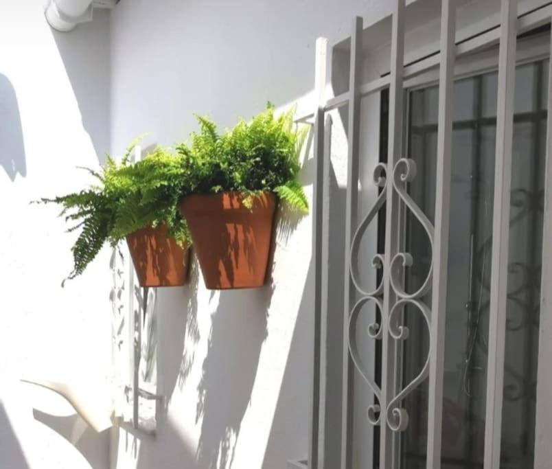 La Marieta, Casita Acogedora Y Centrica Villa Castilleja de la Cuesta Eksteriør billede